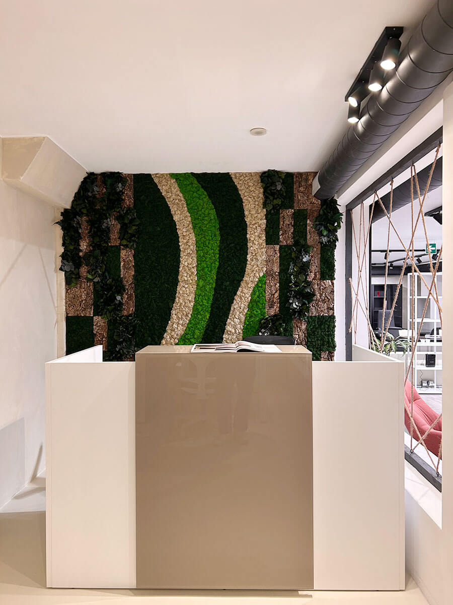 Showroom Roma