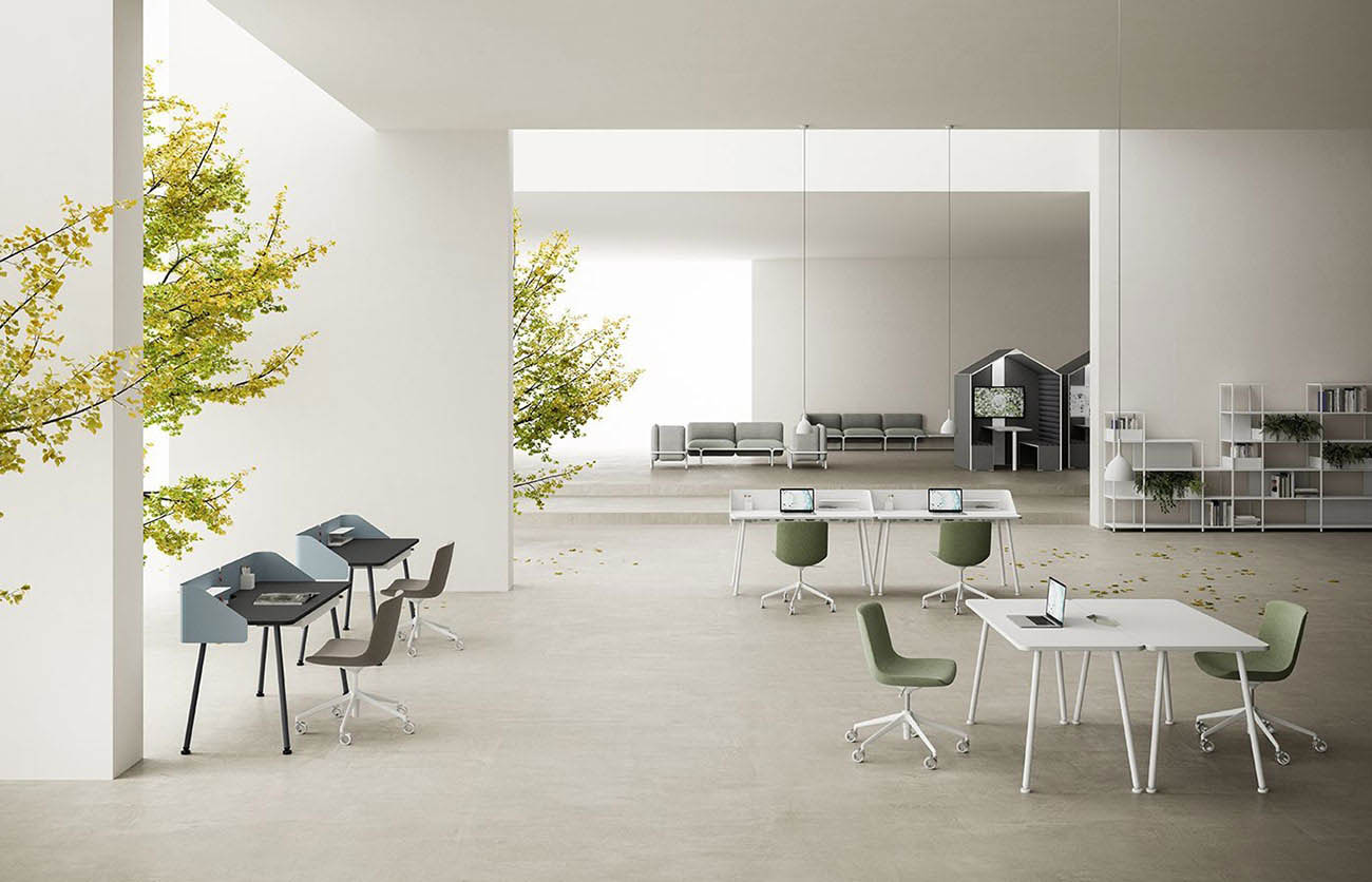 Nida - Pronta Consegna