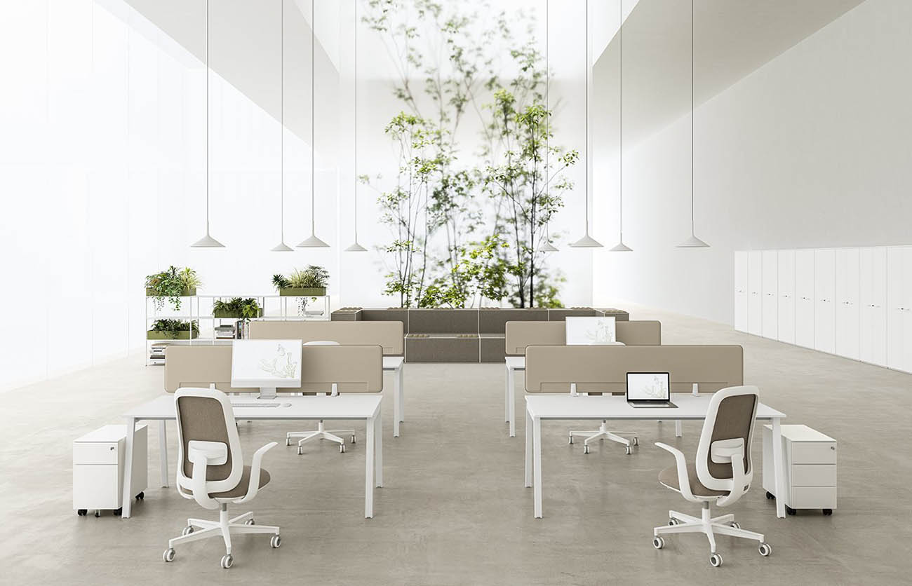 Pag - Pronta Consegna