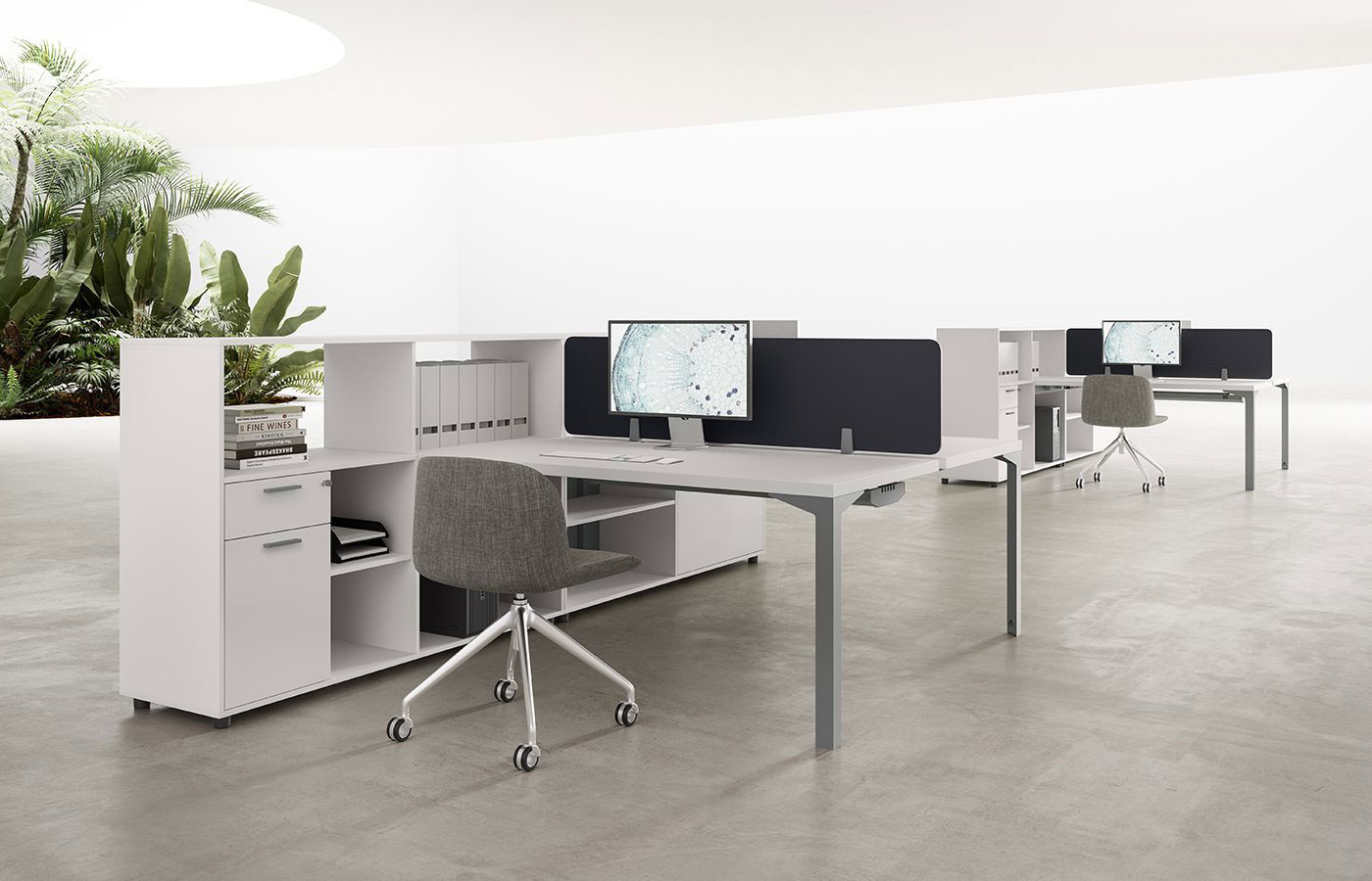 Enna - Pronta Consegna