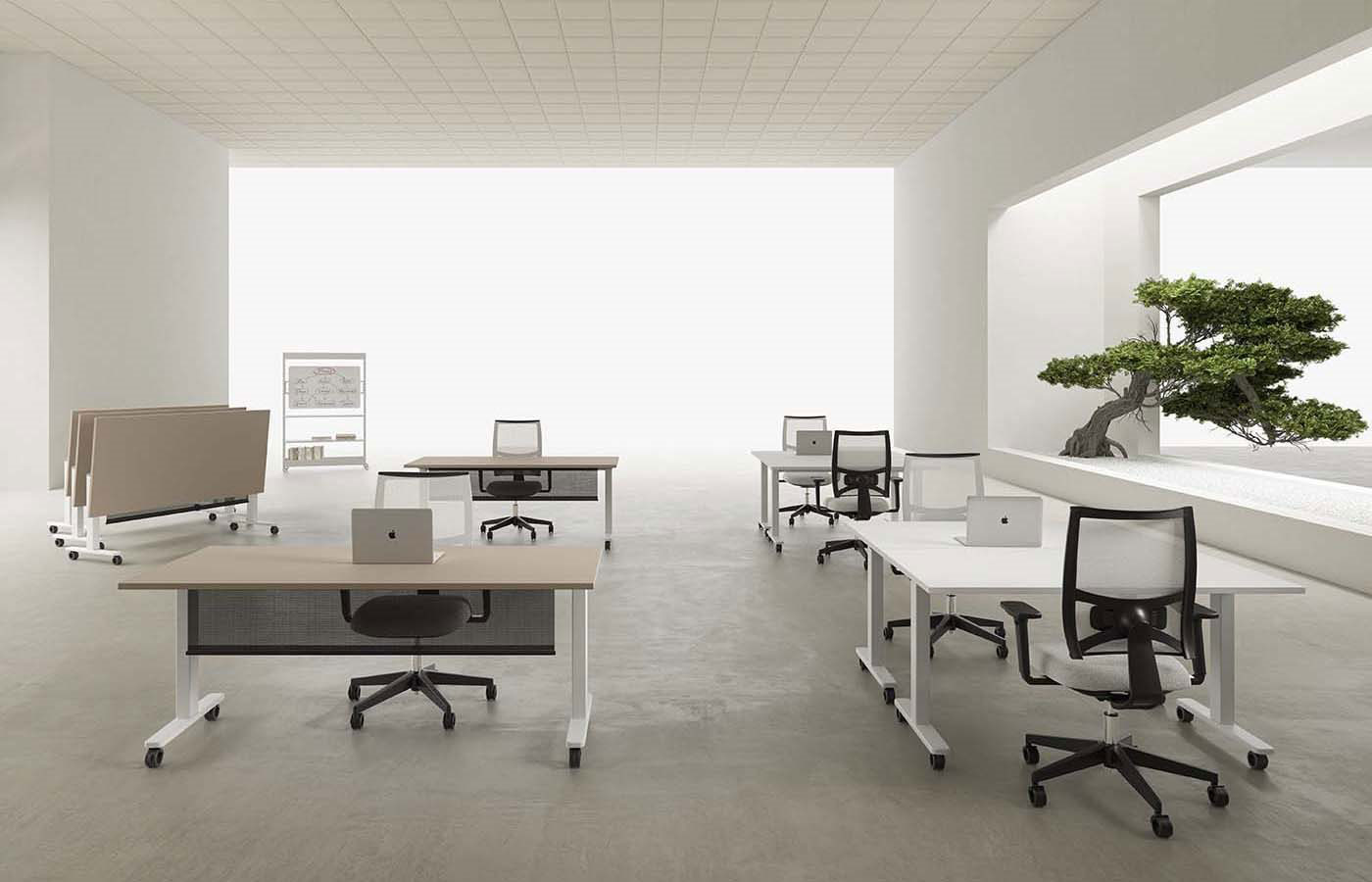 Nobu - Pronta Consegna