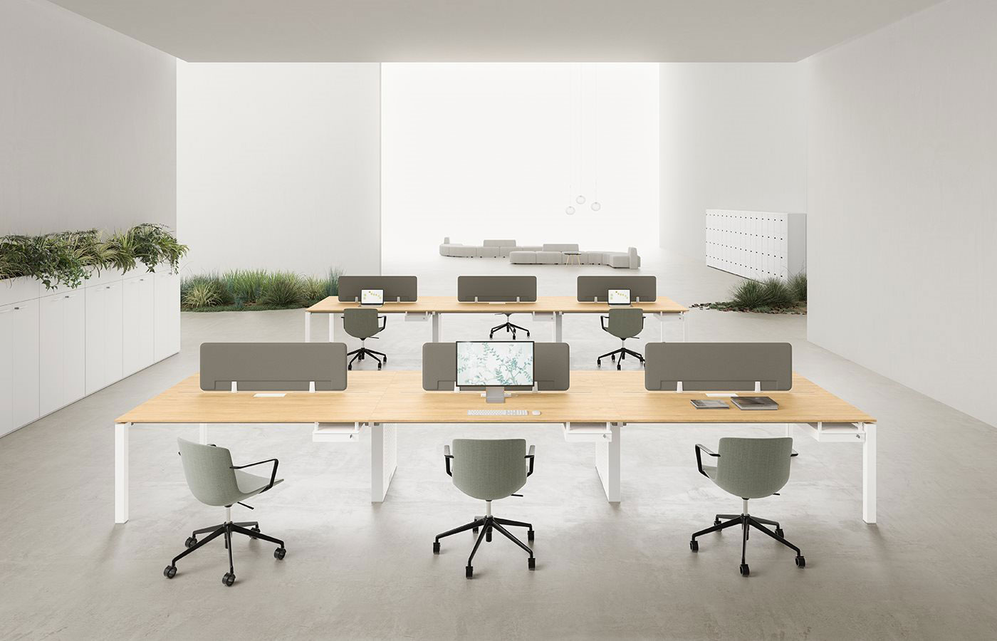 Entity - Pronta Consegna