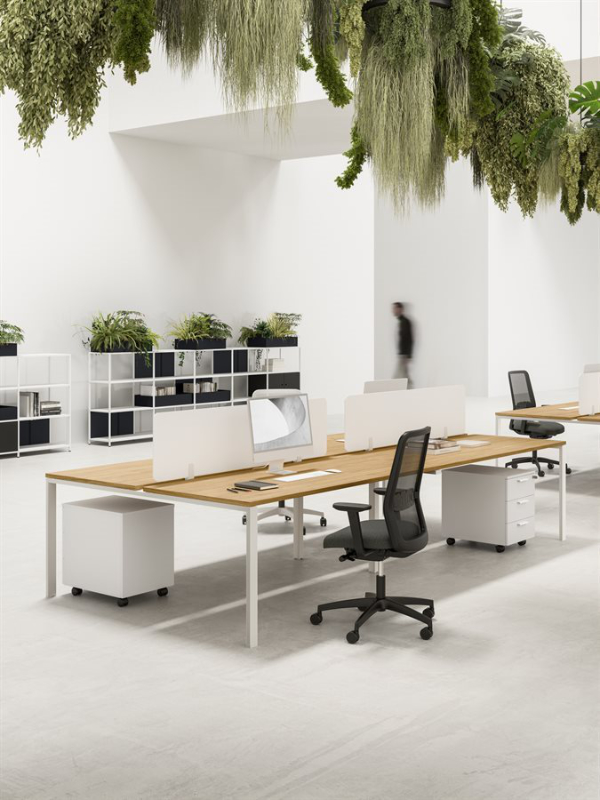 Lite - Pronta consegna